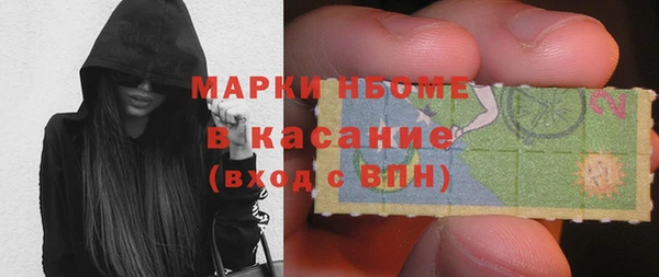 индика Алзамай