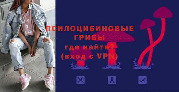 молекула духа Алексин