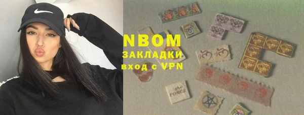 молекула духа Алексин