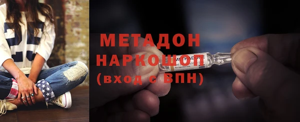 индика Алзамай