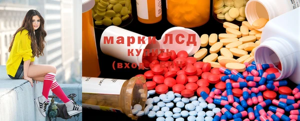 индика Алзамай