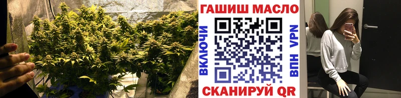 Дистиллят ТГК THC oil  Игра 