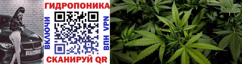 Конопля ГИДРОПОН  Игра 